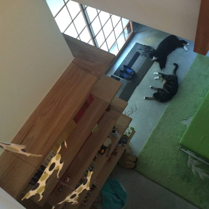 0ae8b354 c35f 490b 829a f7ba4d24d286