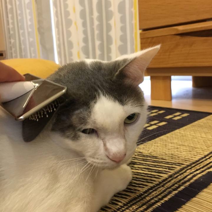 0ae94bb7 5e6b 4cbe 89ad 3fd903b46995