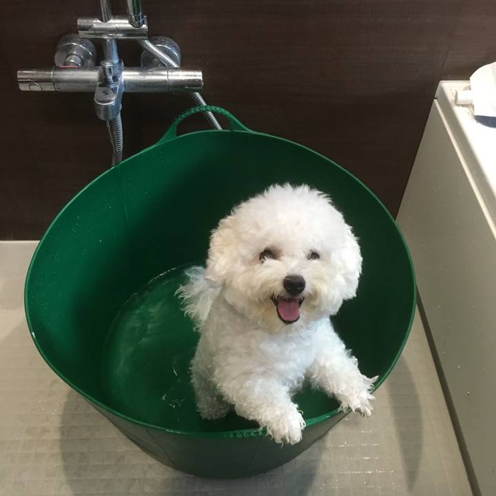 0ae9eb38 ea33 4bd4 8f98 1d485c3bee65