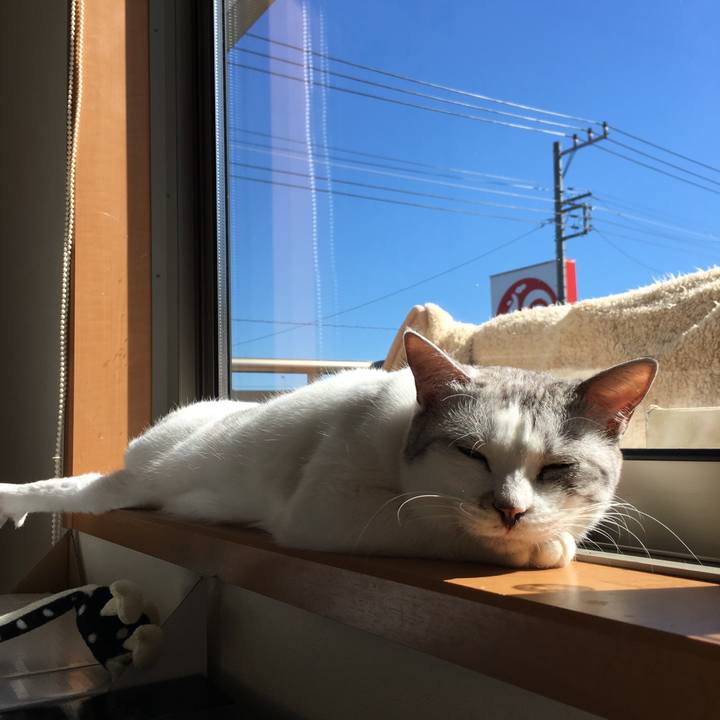 0ae9f57c f0ac 403b bf0d c75dc73775b2