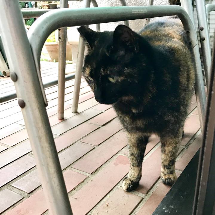 0aea133f aa60 42c2 8dba ae61f0edaf83