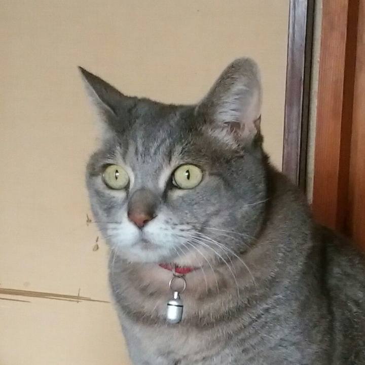 0aea57c3 1b48 4a5f a9b4 19cf3112c9c4