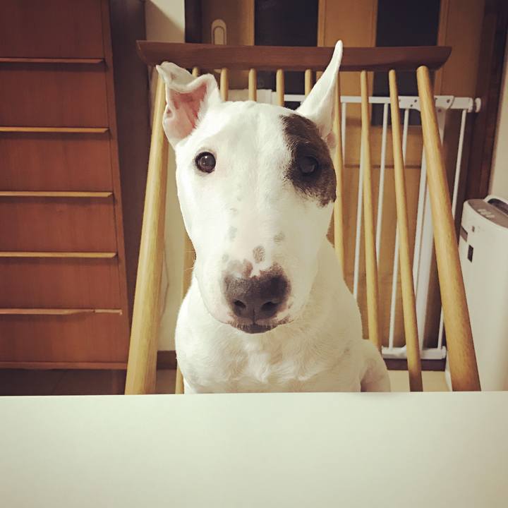 0aea5bfb 9611 4aae a958 925244c2ef77