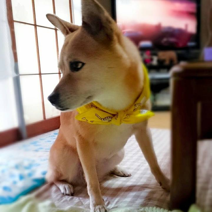 0aea8033 6091 4cc1 b5a9 ad27ae256c82