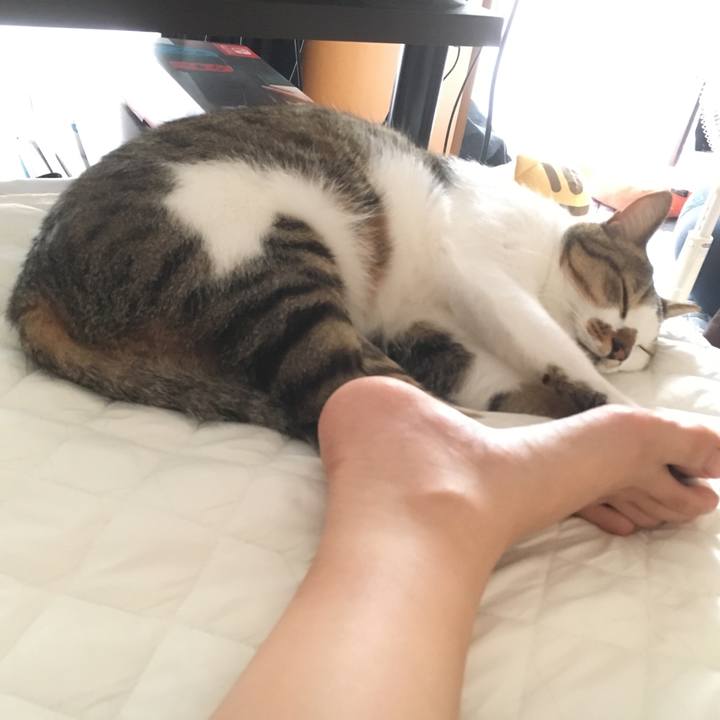 0aea95b6 b948 4793 a7b0 773b4ab50fa4