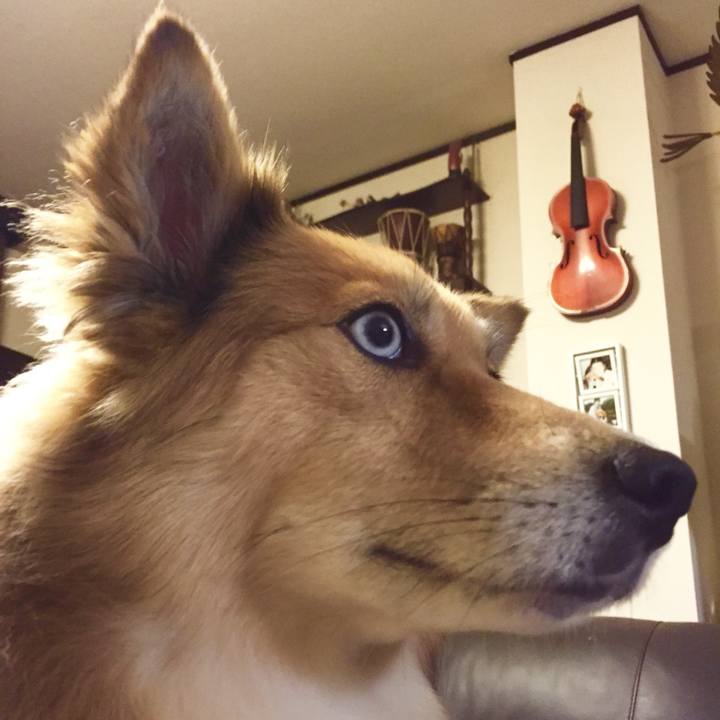 0aeaa06e eedf 4b43 b31b 4d7eacc062ad