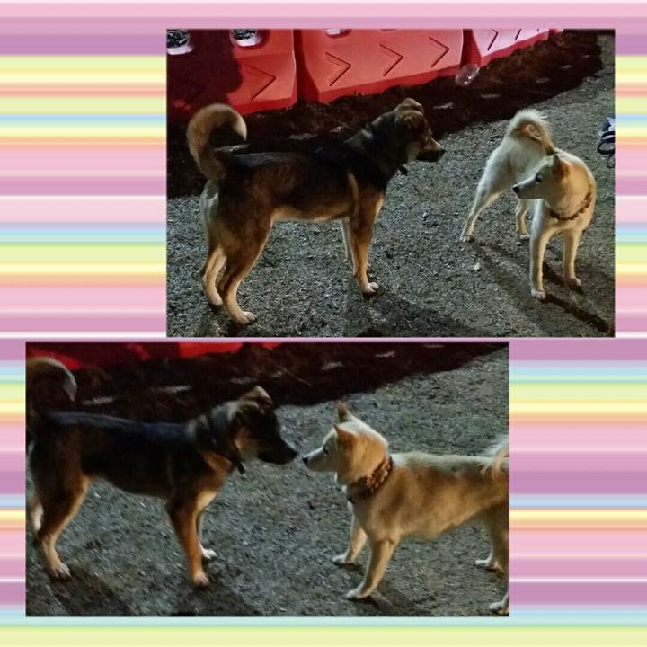 0aeaad8d ee8f 4dfb 853b 9e7f54055c77