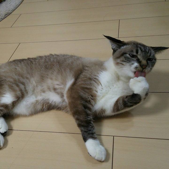 0aeaefa0 8b8e 4d13 bf1b fe161d59037c