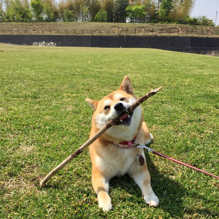 0aeb0d85 0b08 4177 85fc ef0addb41da7