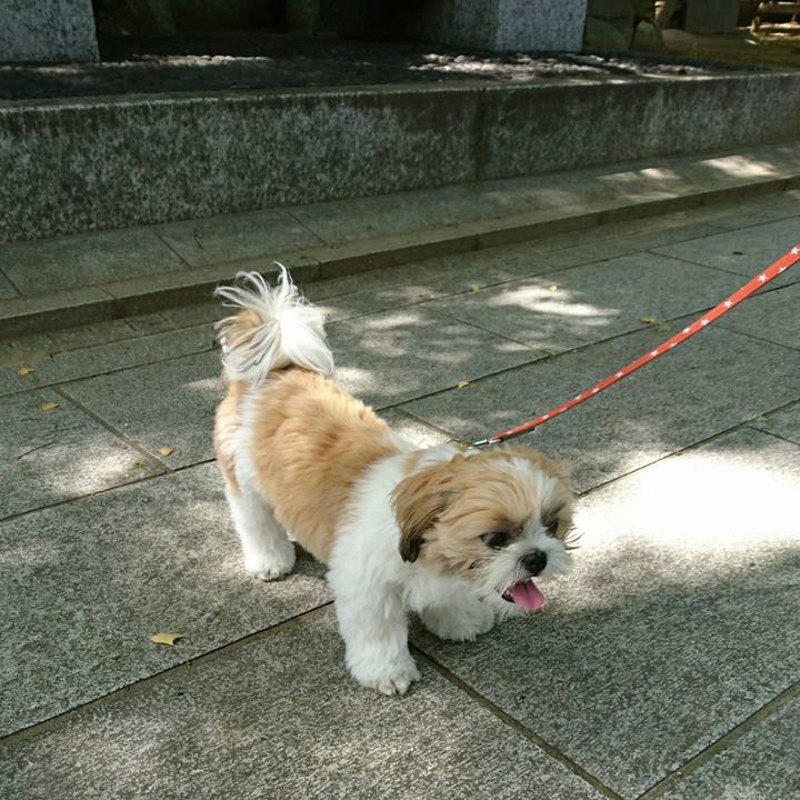 0aec2c8b 296d 4fcd b7e2 6f133dc1b5de