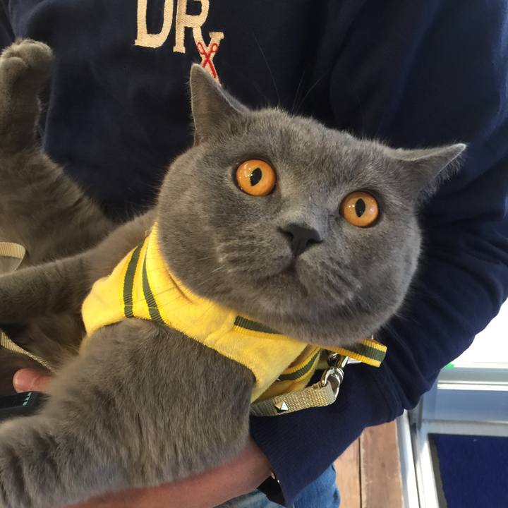 0aec6fcb f4be 4b23 a094 517d4b3b399b