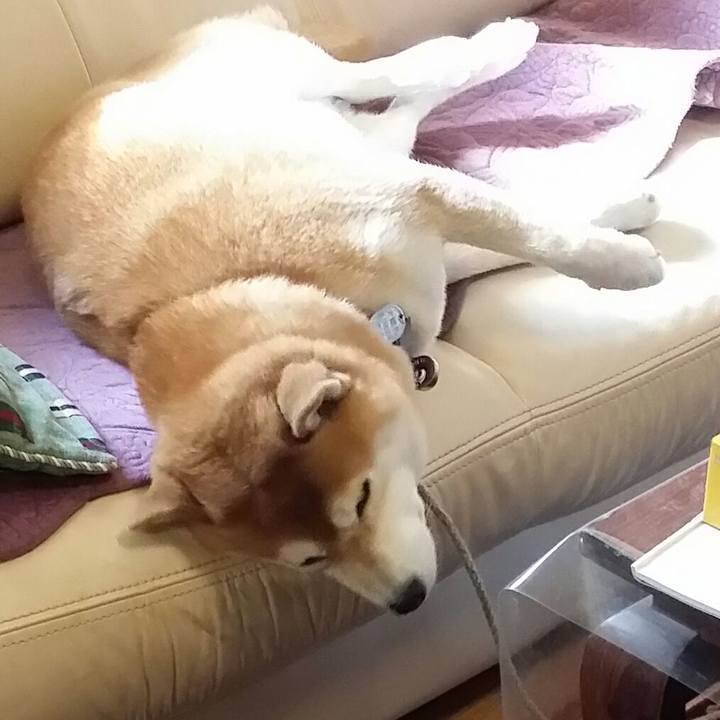 0aed86a9 e0df 4649 a742 e46b24c0a207