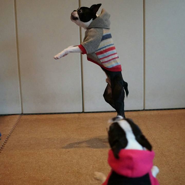 0aee57d4 c767 4fda 995b 884ada0bf956