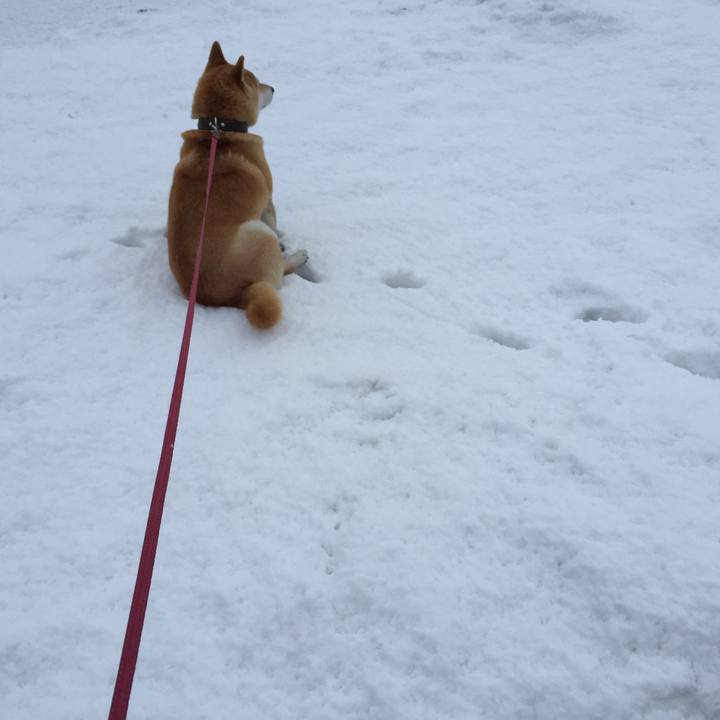 0aeee8d3 9677 433b 80ee 67205ad71bbc