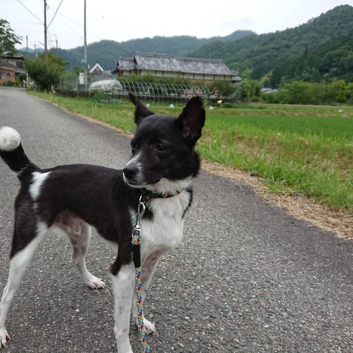 0aefa26b aad4 4b56 8d86 50ee5d9c3a59