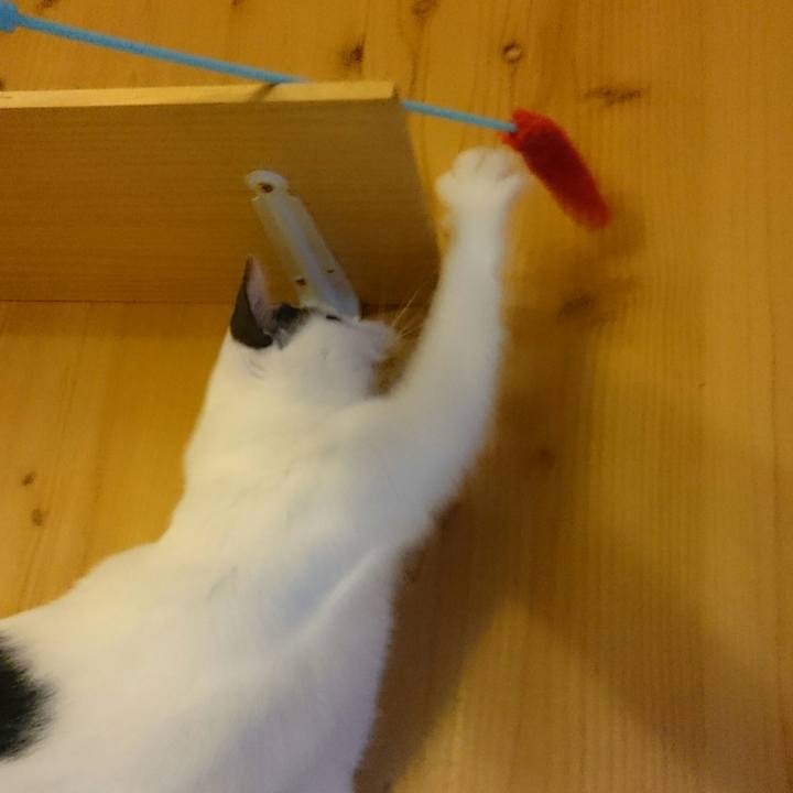 0af014cf daa5 4794 98d5 3f71c6c2e654