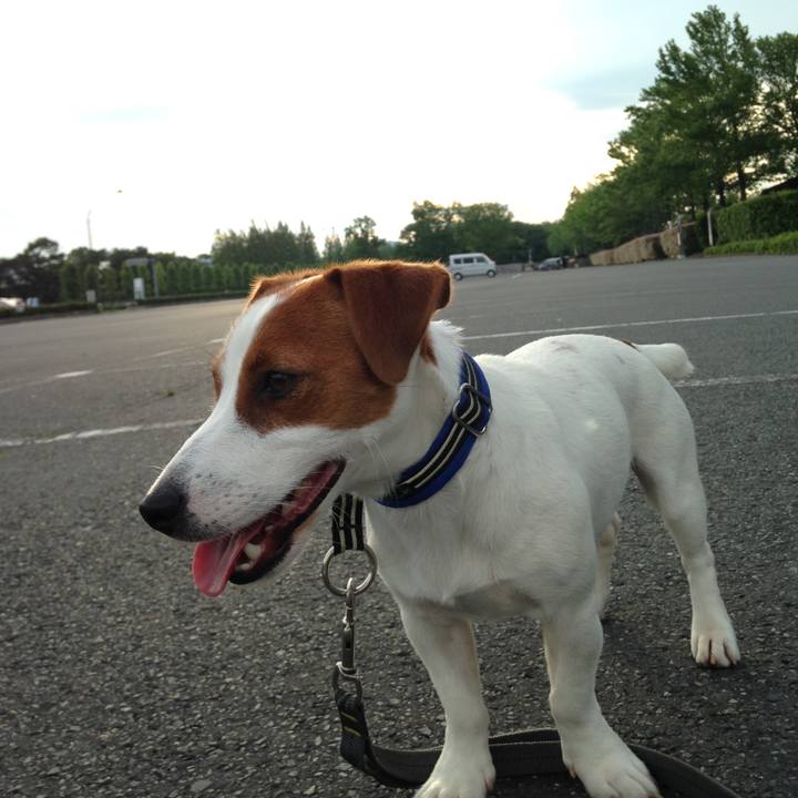 0af074b2 de00 4710 9426 d0e8bcc3760d