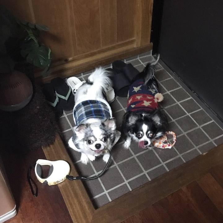 0af08860 49c5 4ef9 82e0 d1eb0300d582