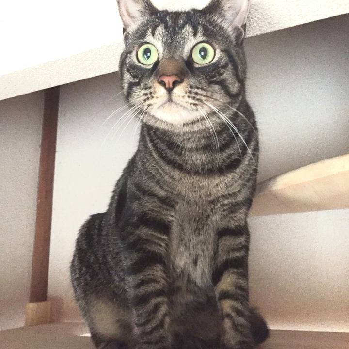 0af09695 c9dc 4011 a8c3 1014e3310dc2