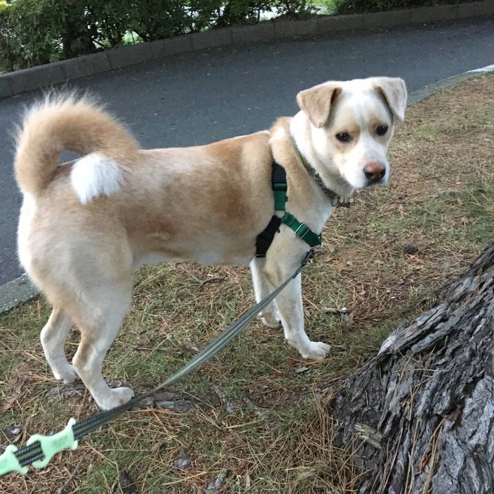 0af11d46 ddf4 44df a199 92f4bd4eaaf0