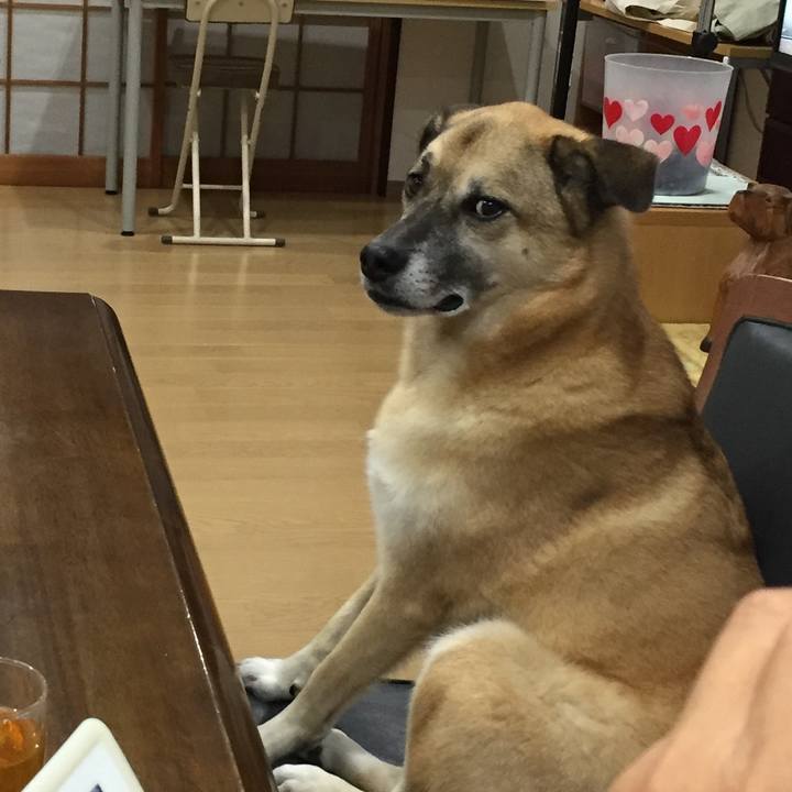 0af14862 9e77 4109 b082 4ace288db565