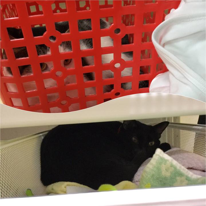 0af151ef 3c3c 4eb5 9b34 cb87ff095e15