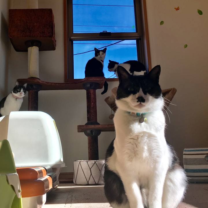 0af174de 0f92 472f 84e3 63e213b526f0