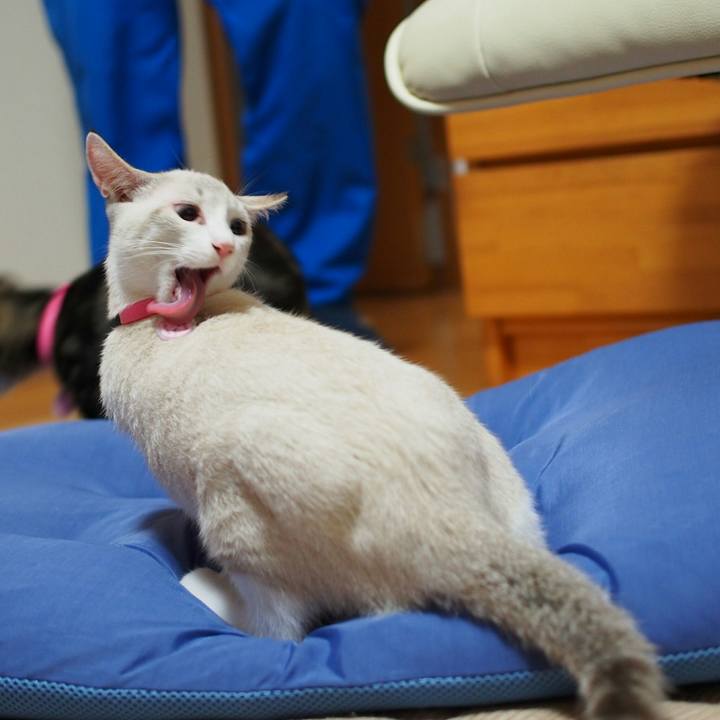 0af1c35b 5dcc 4246 aa81 8058a30c90fb