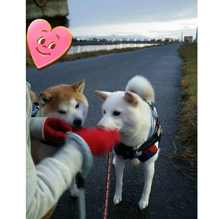 0af20d11 4dd5 4494 bb1c 4d853ae5ab39