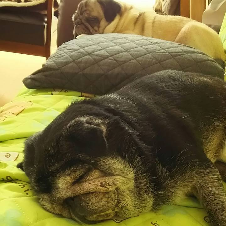 0af29a90 9a34 4d62 973f d73d9d4d02d6