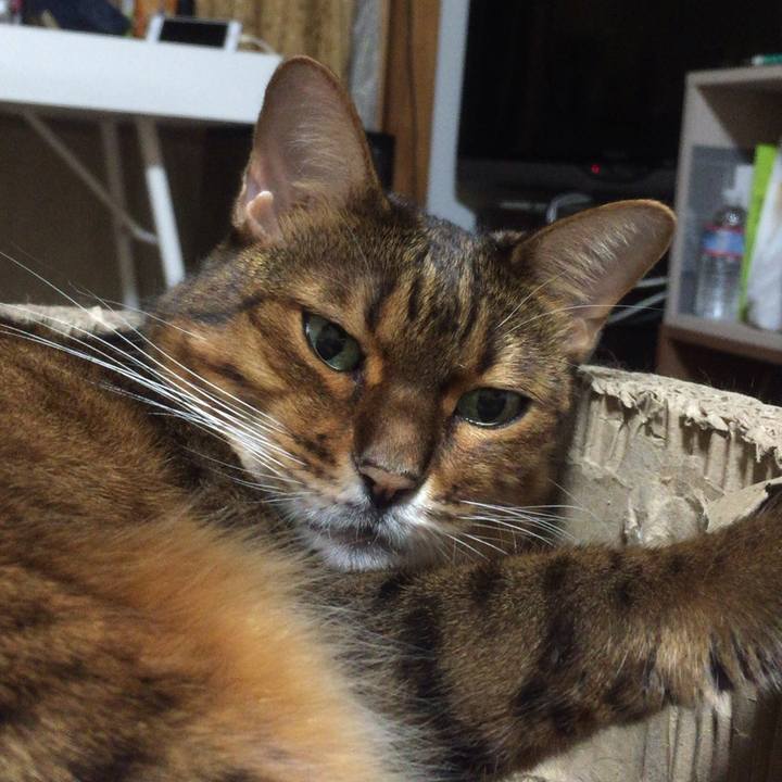 0af29fa6 24d6 45a7 995a c725c03a81c5