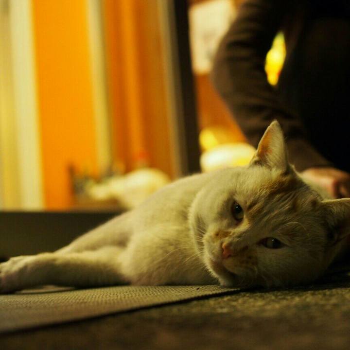 0af334b4 9bb6 4350 bcc0 4f5f965cb001