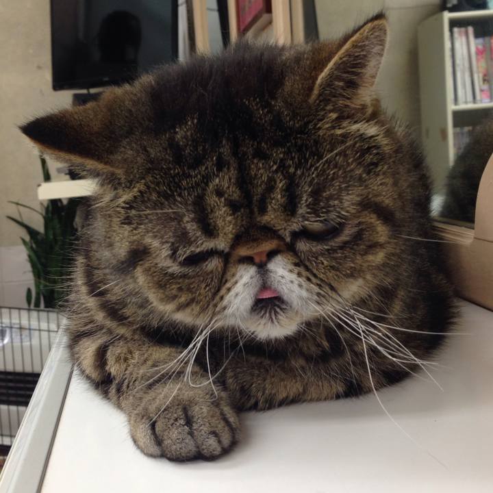 0af33c7a 7427 48e1 a1eb 69643950bc04