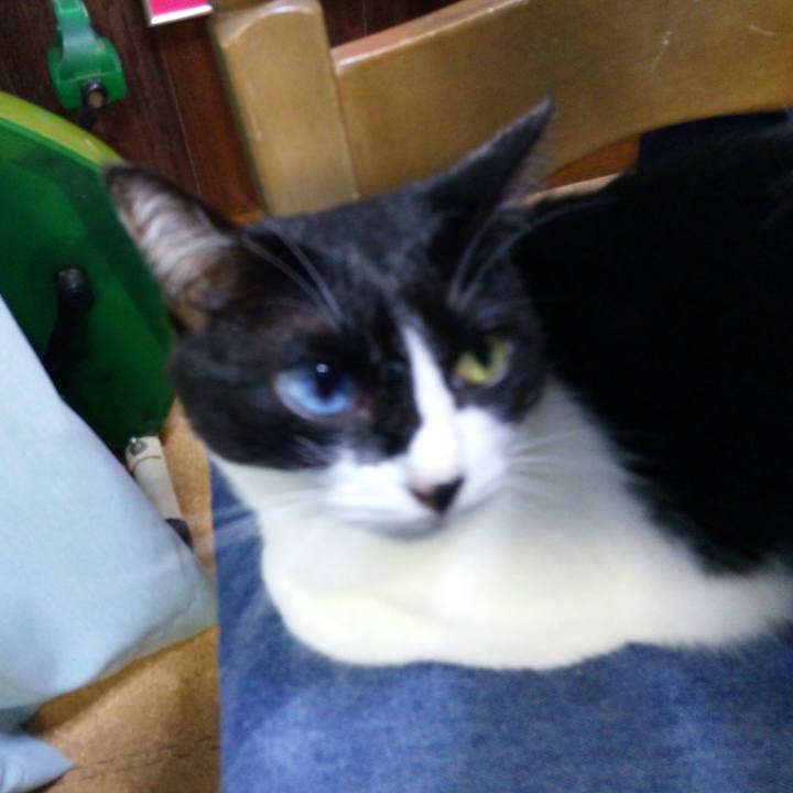 0af3800a 4485 48ed 84b1 bbe9a3ad27fd