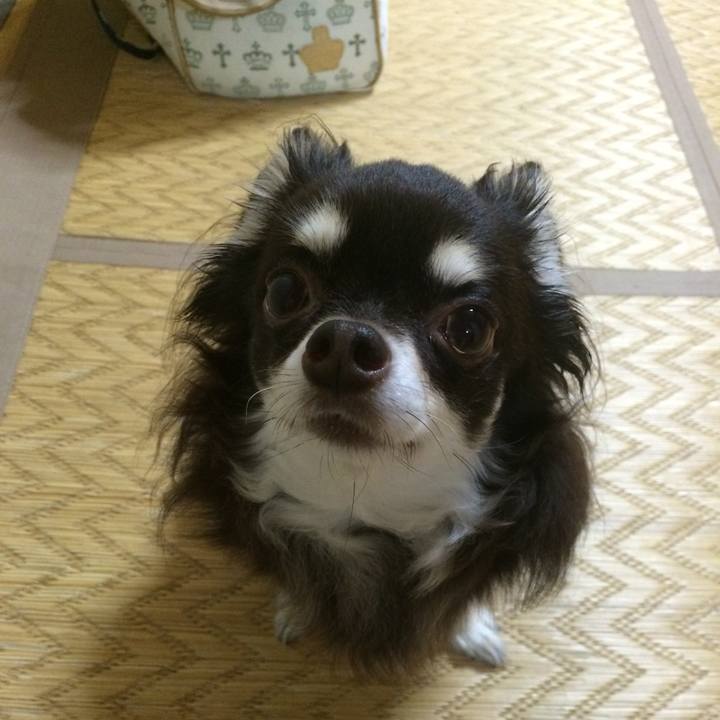 0af3b19f c18f 44fe b222 65cbe1a84da1