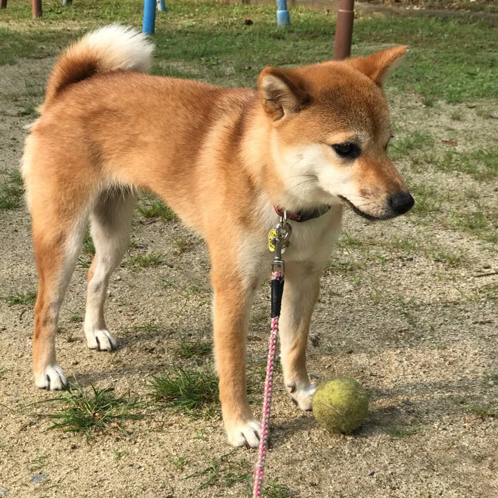 0af3b78d a9a8 42b8 869d 99b602d96407