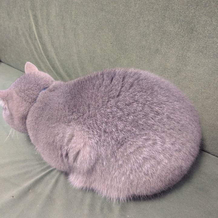 0af41212 18d7 40ce 82c0 e97a983dd587