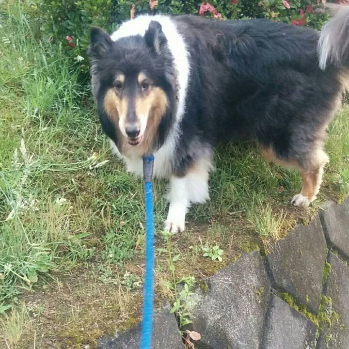 0af446ba 5d08 4d7b 8372 ef00ed01733f