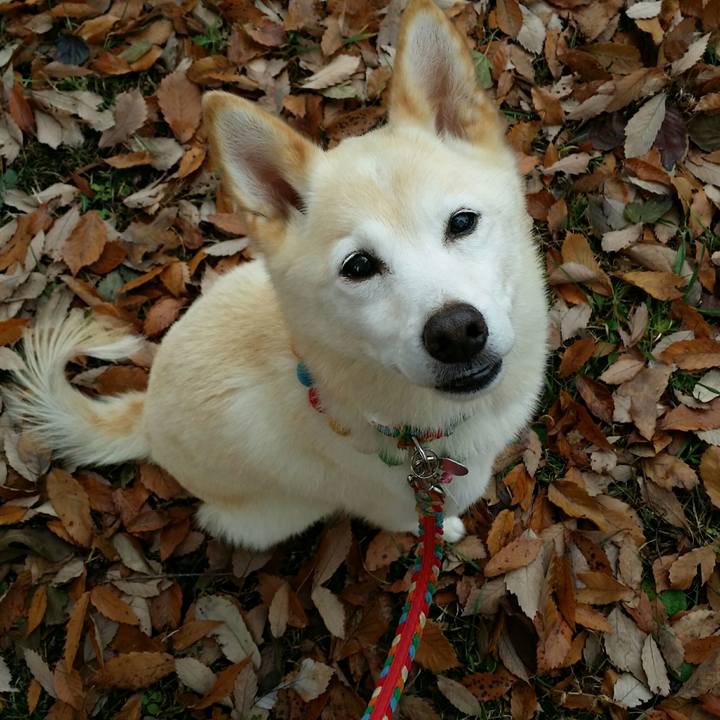 0af51cf4 5971 4a07 a4c7 8092884463ca