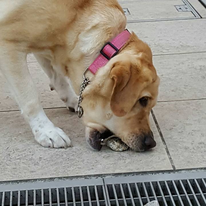 0af53c20 311a 40a6 ae06 f0dccbaddfd0