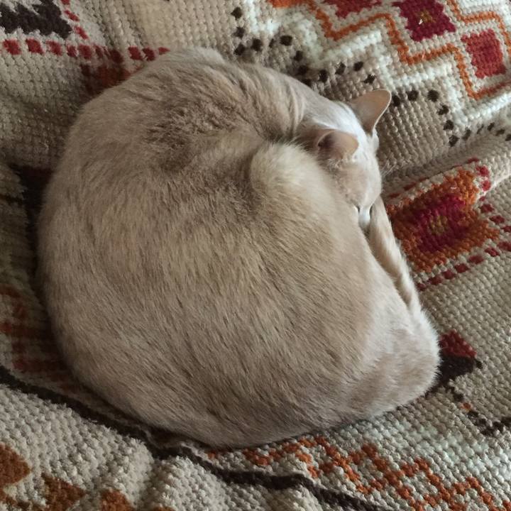 0af57c88 1569 412c af69 6b948222b022