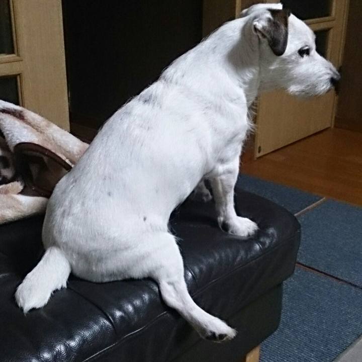 0af59779 f314 4d0e afd9 636d12c844c7