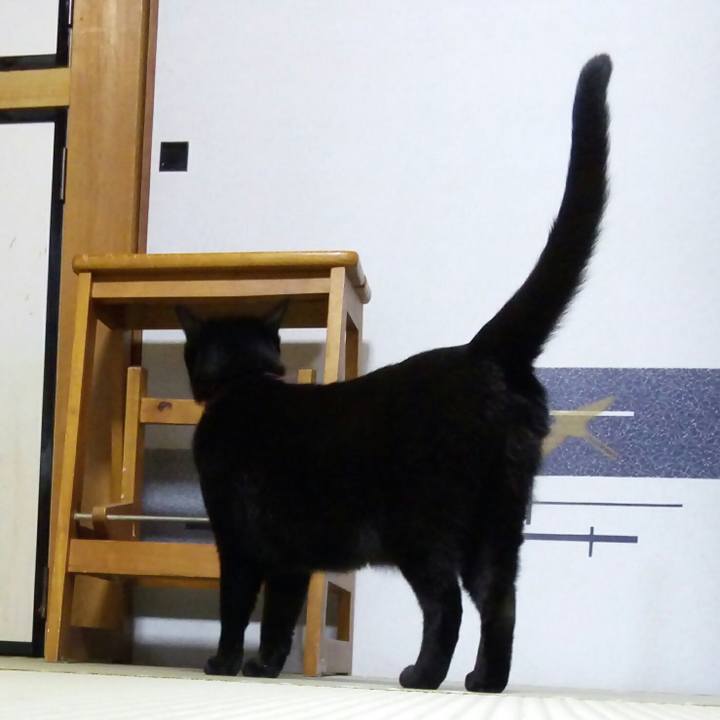 0af5a350 d4c8 46e9 a29f 120cdf487786