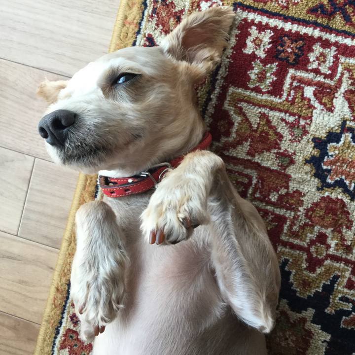 0af60839 82e5 46f3 95b0 2356c24db988