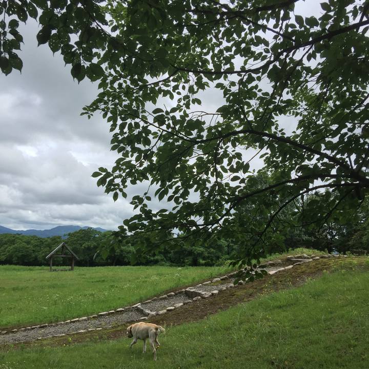 0af61b63 a442 401b b05b 46f03b6b7120