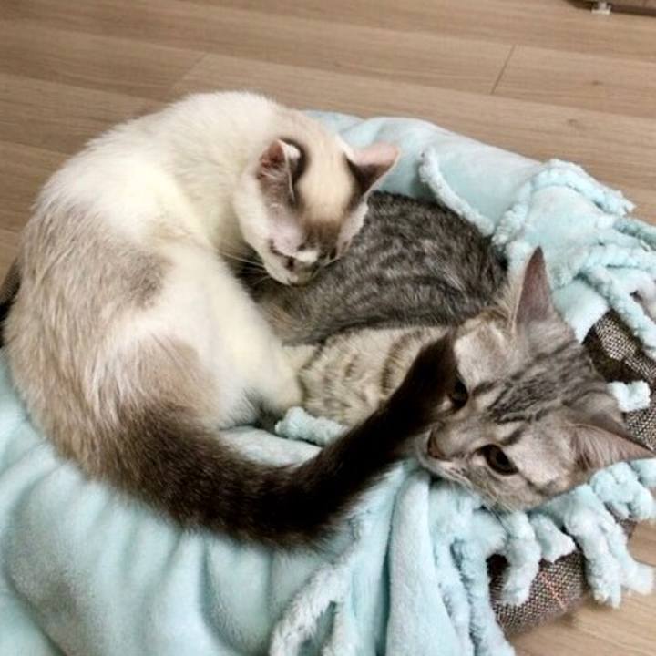 0af64869 4634 4145 9a4c bf890666c7ef