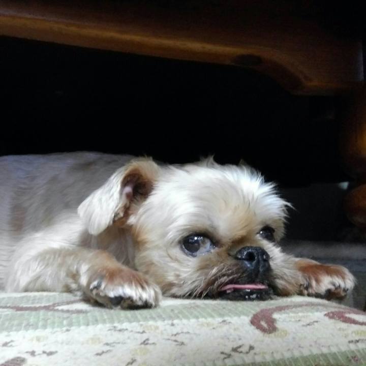 0af6cf15 d3b0 41fc 8789 88183cc1d94d