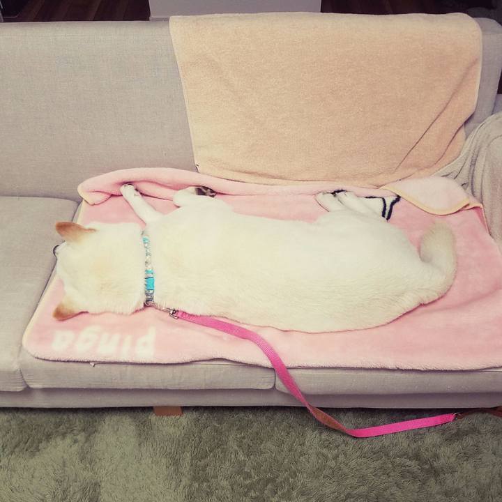 0af78e71 7443 4f3f 8122 049fb8b5c51c