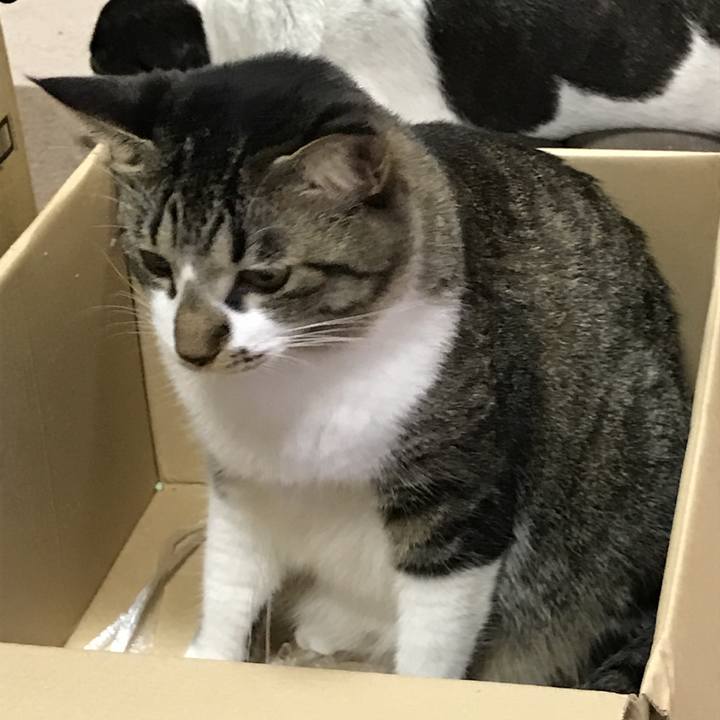 0af79079 53f4 4b22 9f92 4c04a3936bd7