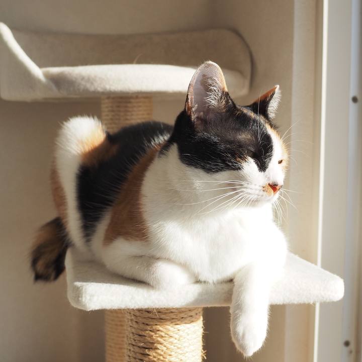 0af79536 5431 4be0 b095 21cce19488f9